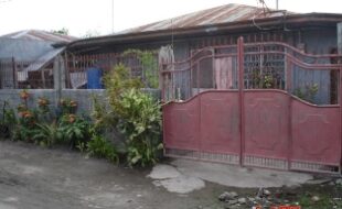 1462281 pic001