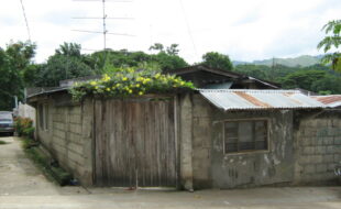 1462536 pic001