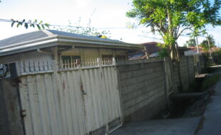 1466826 pic001