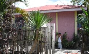 1467753 pic001