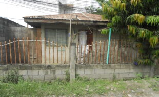 1469998 pic001