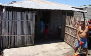 1470241 pic001