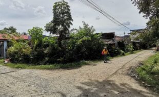 Foreclosed Properties Philippines Database 24 1472565 pic001