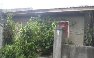 Foreclosed Properties Philippines Database 9 1474287 pic001