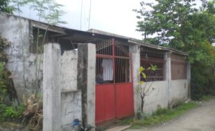 1474341 pic001