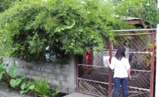 1474595 pic001