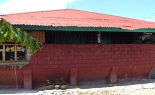 1474603 pic001