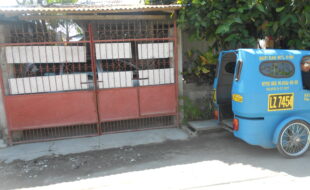 1478513 pic001
