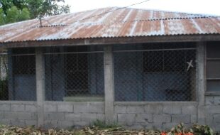 1496638 pic001