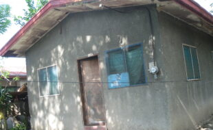 Foreclosed Properties Philippines Database 5 1497139 pic001