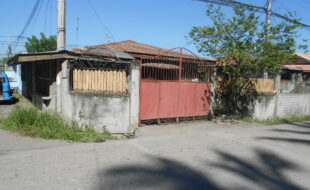 1499889 pic001