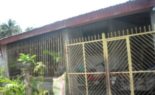 1512382 pic001