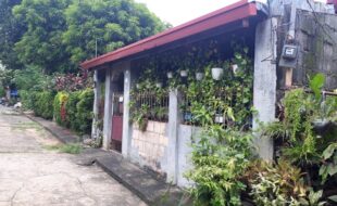 Foreclosed Properties Philippines Database 29 1513761 pic001