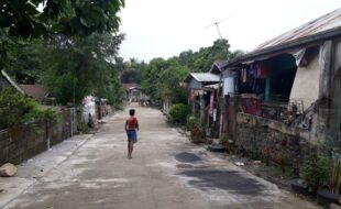 1515143 pic001