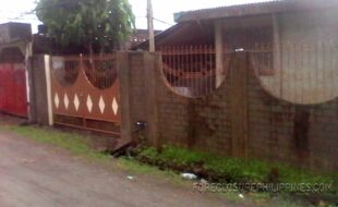 Foreclosed Properties Philippines Database 20 kr