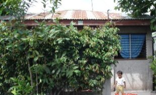 1521531 pic001