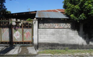 1521549 pic001