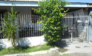 1521556 pic001
