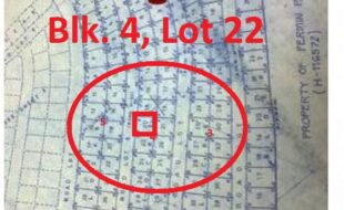 1524173 pic001