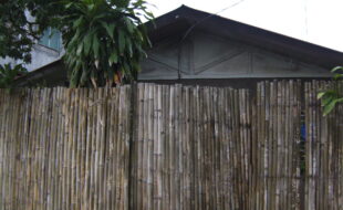 DIGITAL CAMERA
