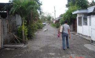 1547706 pic001