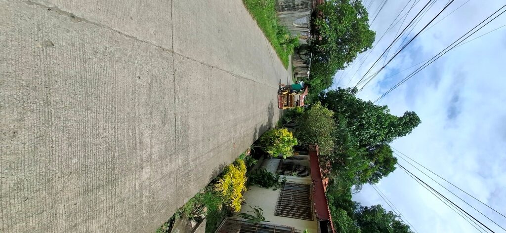 1553936 pic002 rotated