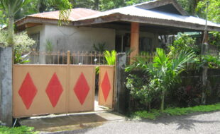 1555049 pic001
