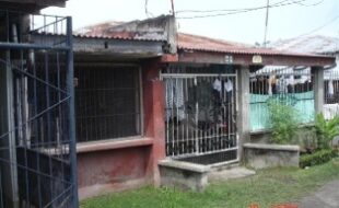 1556553 pic001