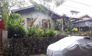 1557774 pic001