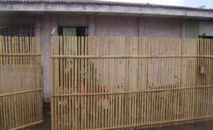 PENTAX Image