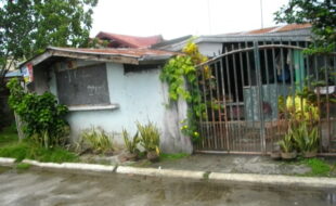 1562579 pic001