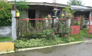 1562665 pic001