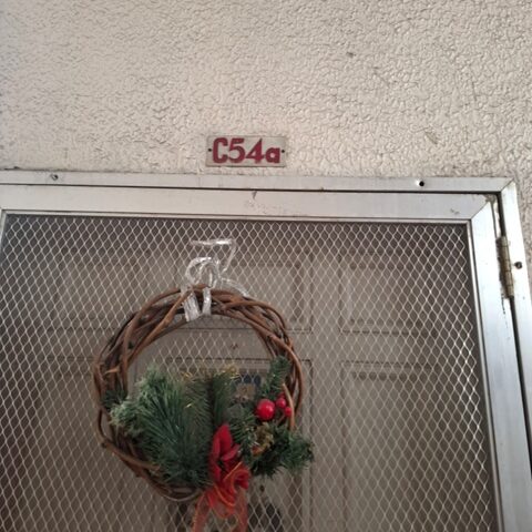 1567882 pic001 rotated