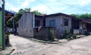 1571971 pic001