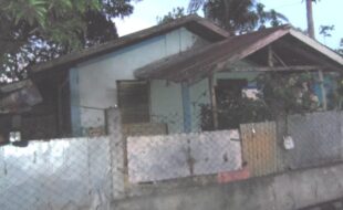 1577263 pic001