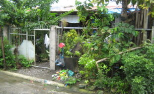 1578896 pic001