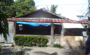 1614653 pic001