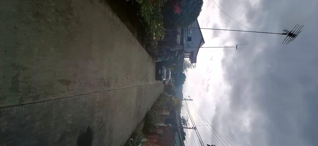 1619713 pic002 rotated