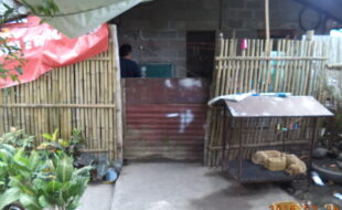 1621915 pic001