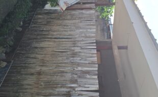 1629807 pic001