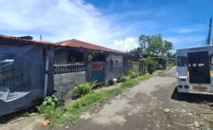 1637569 pic001