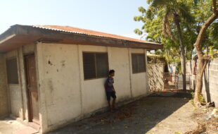 1637759 pic001
