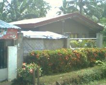 1649668 pic001