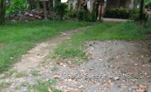 Foreclosed Properties Philippines Database 25 1656747 pic001