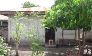 1664982 pic001