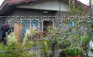 1676773 pic001