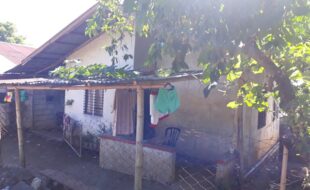 1682466 pic001