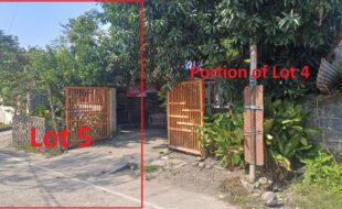 1682552 pic001