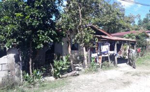 1682649 pic001