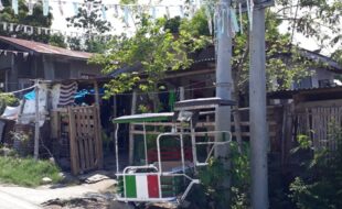 1682703 pic001